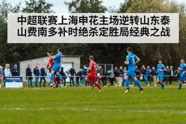 中超联赛上海申花主场逆转山东泰山费南多补时绝杀定胜局经典之战